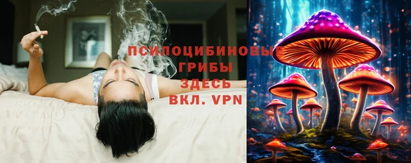 тгк Сафоново
