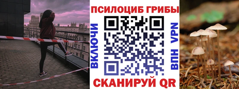 Купить закладки  Дудинка  Галлюциногенные грибы Cubensis 